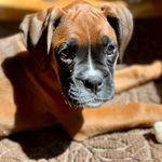 Bridget Decker - @superfluousb - Instagram