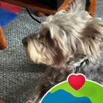 Bridget Dillon - Facebook