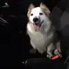 Bridget Doyle - @bridget.doyle72 - TikTok