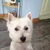 bridgetdoyle1371 - @bridgetdoyle1371 - TikTok