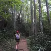 Bridget Foley - @bridget.foley5 - TikTok