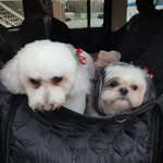 Bridget Moorhead Foreman - @bridget.m.foreman - Instagram