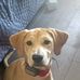 Bridgette Forrester - Facebook