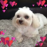 bridget foster - @bridgetfoster962 - Instagram