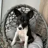Bridget Franklin - @bridget.franklin4 - TikTok