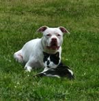 Bridget Ann Gilmer - Facebook