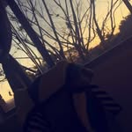 Bridget Goode - @goode__girl123 - Instagram