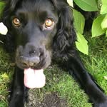 Bridget Goode - @bgmorley10 - Instagram