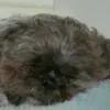 Bridget Gouley - @bridget.gouley - TikTok