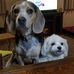 Brigid Gunter - Facebook