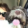 Bridget Shelton - @bridgetshelton - TikTok