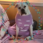 Bridgett Higginbotham - @bridgett.higginbotham.7 - Instagram
