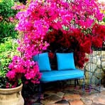 Bridget Hood - Facebook