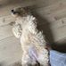 Bridget Howard - Facebook