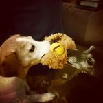 Bridget Howard - @76widge - Instagram