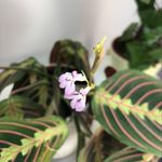 Bridget & Alice Hunter - @hunter.household - Instagram