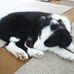 Bridget Kent - Facebook