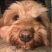 Bridget Lackie - Facebook