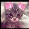 bridgettttt - @bridget.landers2 - TikTok