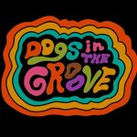 Bridget Lang • Dogs in the Groove - @dogsinthegroove - Instagram