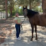 Bridget Lowe - @bridgetlowedressage - Instagram