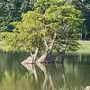bridgettlowery - @bridgettlowery - TikTok