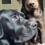 Bridget Moyer - @bridget.moyer.73 - Instagram