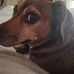 Bridget Mulcahy - Facebook