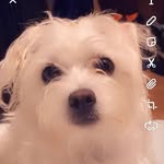 Bridget Orozco - @bridge_orozco0528 - Instagram