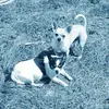 bridgetread313 - @bridgetread313 - TikTok