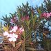 Bridget Roberts - Facebook