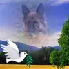 Brigitte Robillard - @brigitte.robillar - TikTok