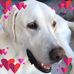 Bridget Rogers - Facebook