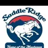 Saddle Ridge - @saddleridgeguesswho - TikTok