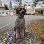 Bridget Sharkey - @bridget_shark19 - Instagram