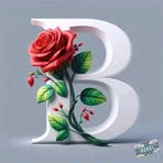 Bridget Sparks - Facebook