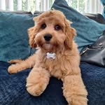 Bridget Stephenson - @bridget.stephenson.60 - Instagram