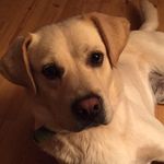 Bridget Tate Terry - @bridget.terry - Instagram