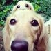 Brigid Treanor - Facebook