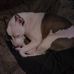 Bridget Walton - Facebook