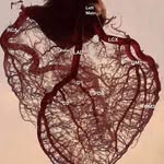 Bridget Way - @epmedic131 - Instagram