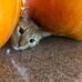 Bridget Steward - Facebook