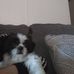 Bridget Wertz - Facebook