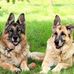 Brigid Wertz - Facebook