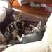 Bridget Wilkins - Facebook