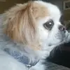 Bridget Zimmerman - @bridget.zimmerman3 - TikTok