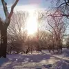 Bridgett Adams263 - @bridgettadams263 - TikTok