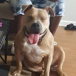 Bridgett Adams - @bridgett.adams.779 - Instagram