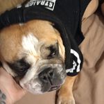 Bridgett Adams - @adans19752 - Instagram