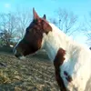 Bridgett bonds - @bridgettbonds70 - TikTok
